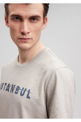 تی شرت خاکستری فاق نرمال آستین استاندارد مردانه ماوی | 066282-31935