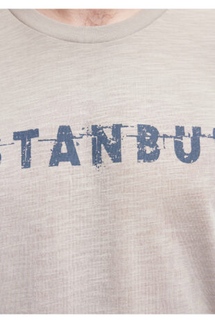 تی شرت خاکستری فاق نرمال آستین استاندارد مردانه ماوی | 066282-31935