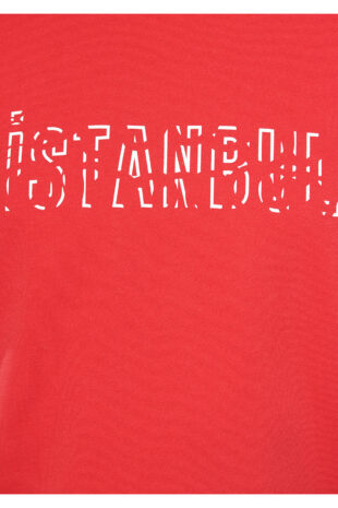 تی شرت قرمز فاق نرمال آستین استاندارد مردانه ماوی | 067115-35686