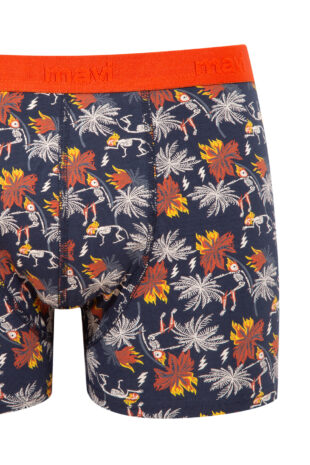 باکسر سیاه فاق نرمال مردانه ماوی | 92655