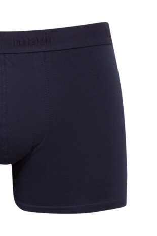 باکسر لاجورد فاق نرمال مردانه ماوی | 092121-30761