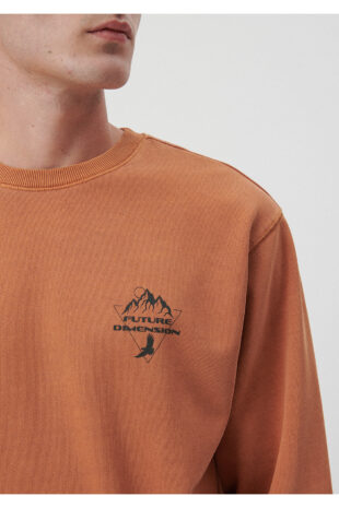 سویشرت قهوه ای آستین استاندارد مردانه ماوی | 0S10009