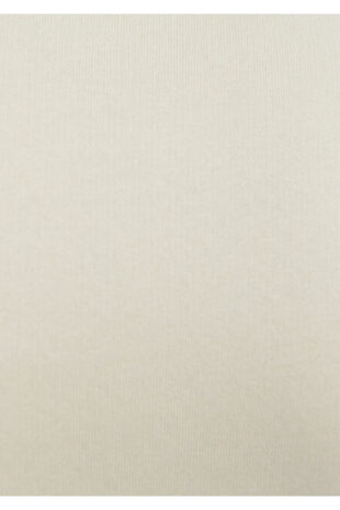 سویشرت بژ آستین استاندارد مردانه ماوی | TYCD08ZAMN170601173495193