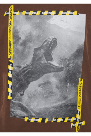 تی شرت قهوه ای فاق نرمال آستین استاندارد مردانه ماوی | 611293