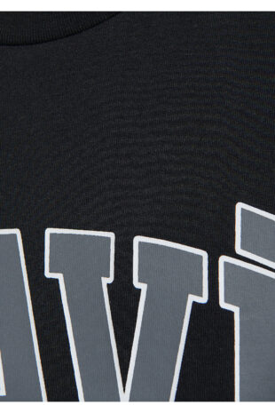 تی شرت خاکستری فاق نرمال آستین استاندارد مردانه ماوی | 611711